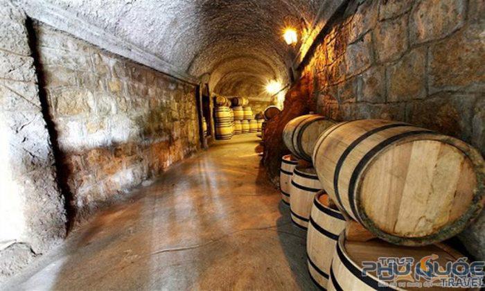 Hầm rượu trăm tuổi độc đáo này là một điểm đến vô cùng thú vị dành cho những vị khách du lịch ưa khám phá đến với Bà Nà Hill.