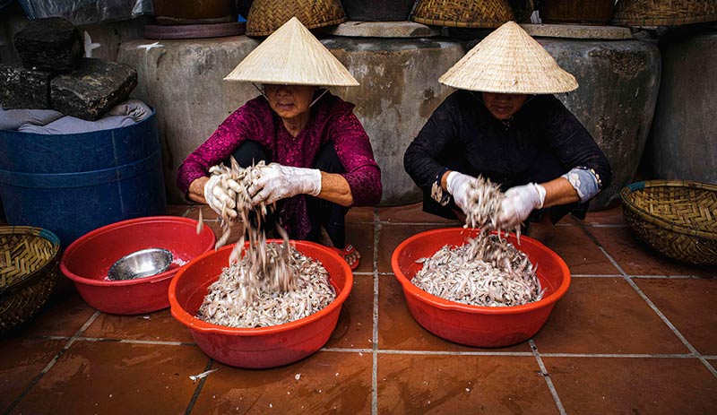Làng nước mắm Nam Ô: trải nghiệm văn hóa làng chài