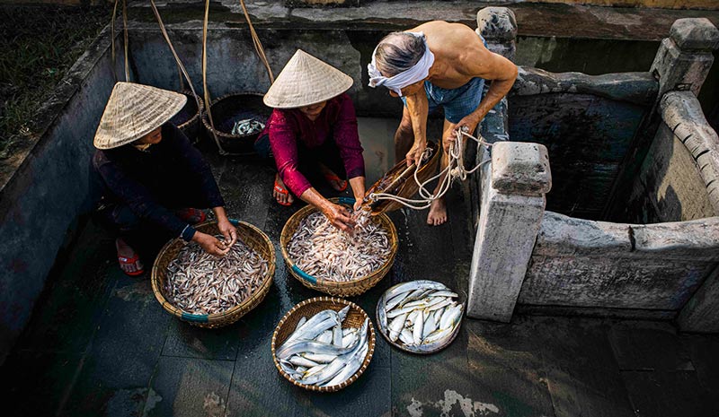Làng nước mắm Nam Ô: trải nghiệm văn hóa làng chài