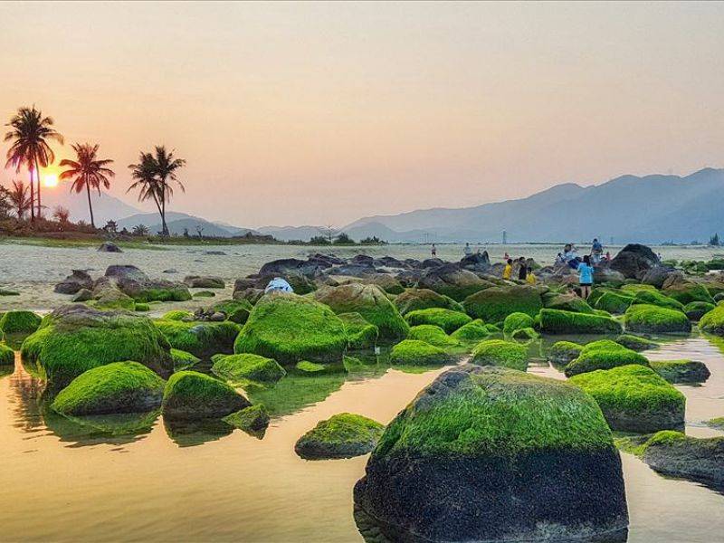Rạn Nam Ô Đà Nẵng: mùa rêu và kinh nghiệm check in