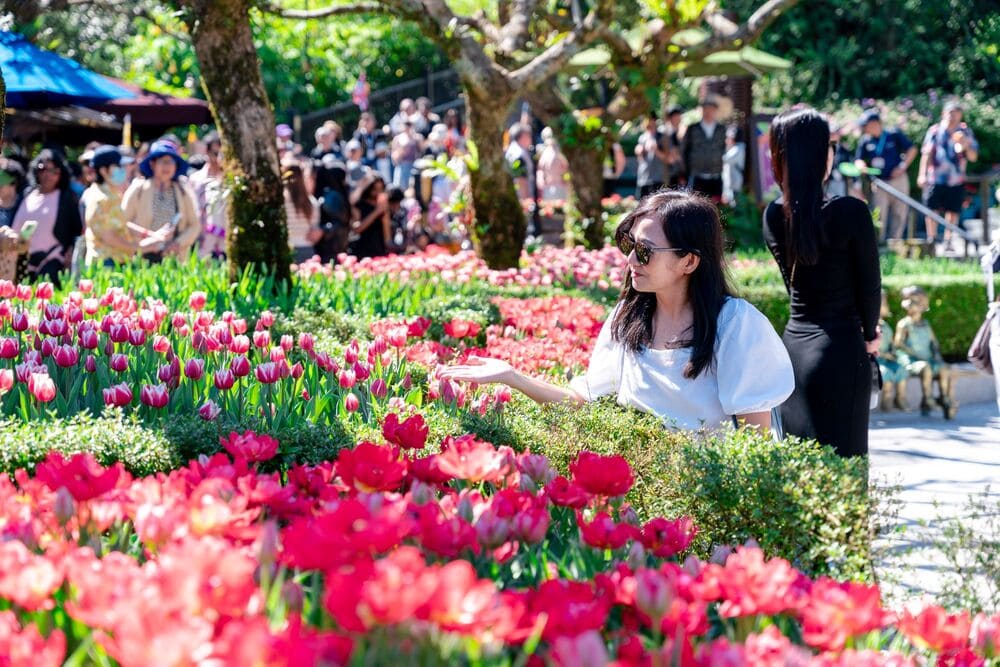 Tết Nguyên đán Bà Nà Hills: lịch trình và trải nghiệm